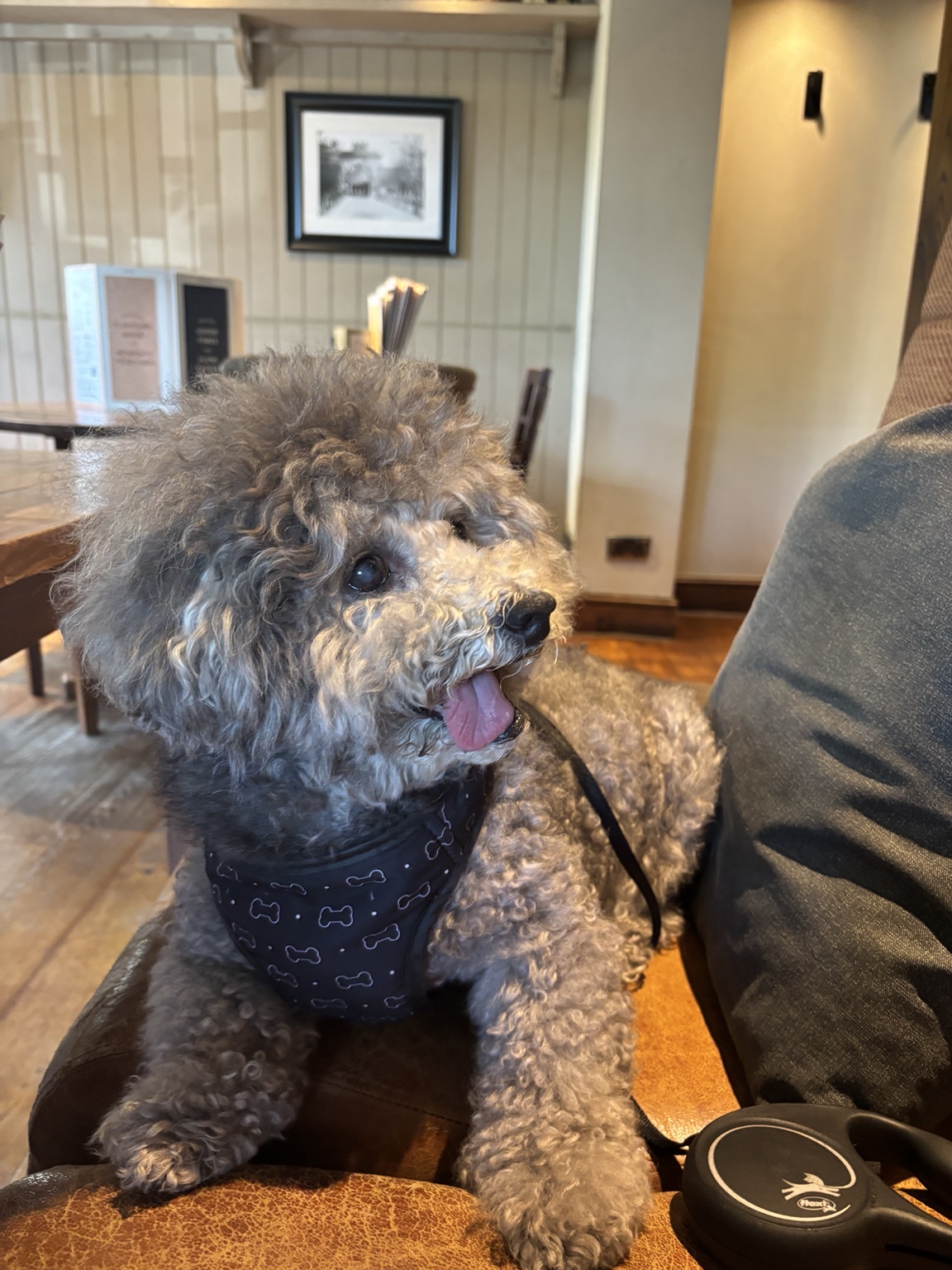 Fansh beside a table at a café