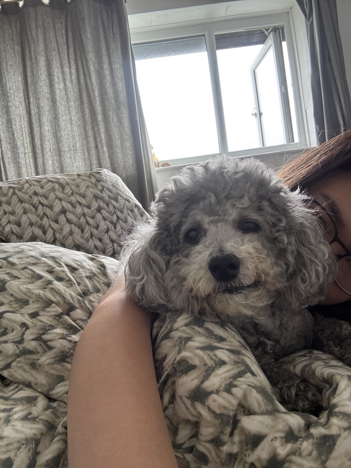Fansh resting beside Candace at home
