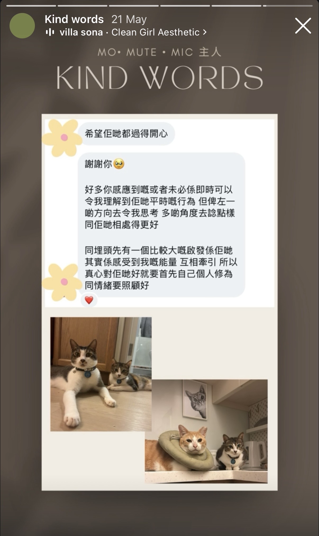 Client reflection on caring for themselves and their animals