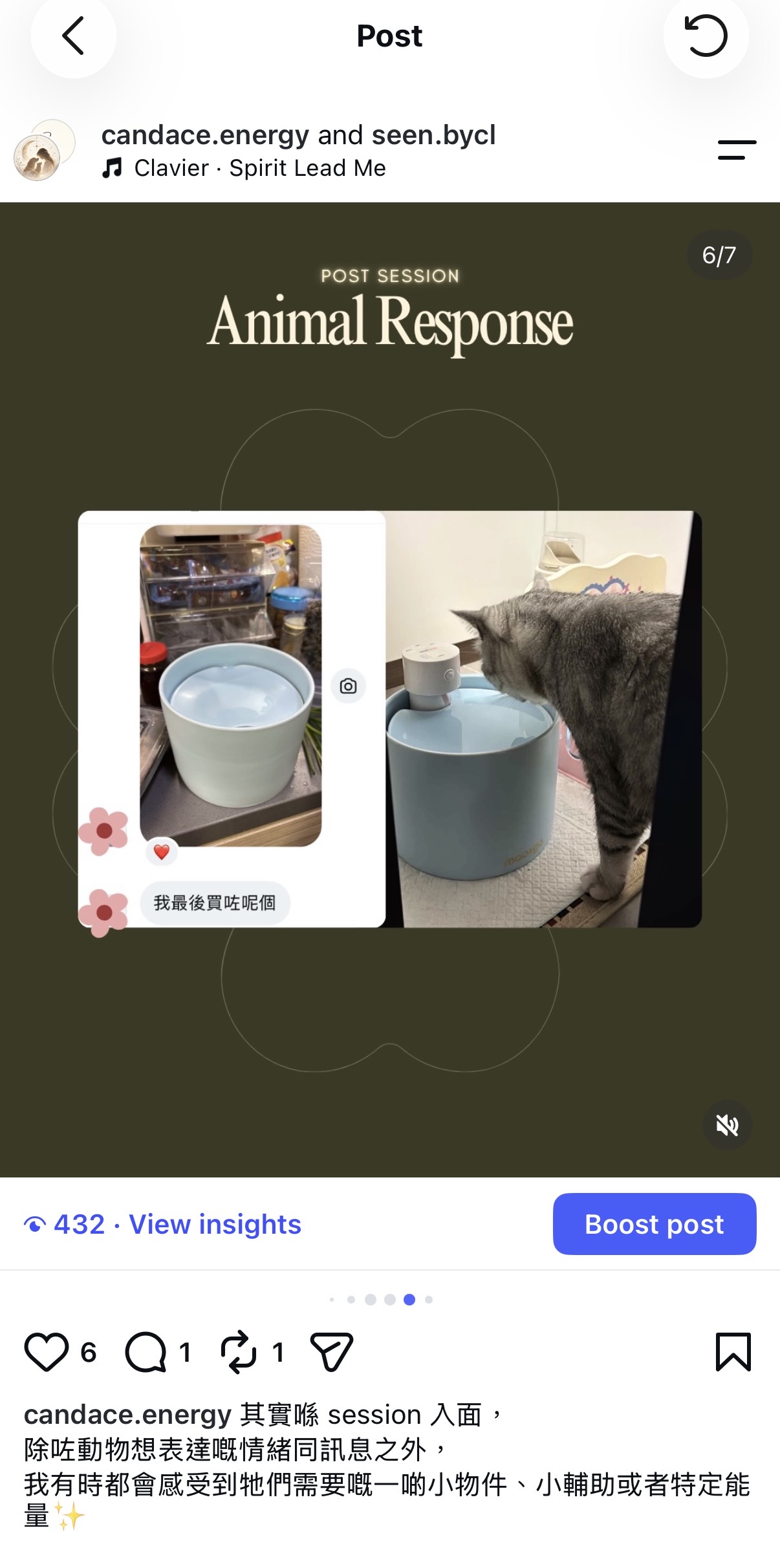 Client follow-up photographs of a cat and a blue water fountain